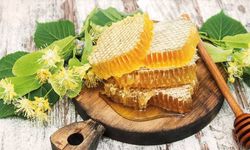 AB tarafından tescillenen Yenice ıhlamur balı tanıtıldı