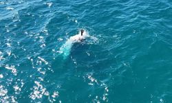 Antalya’da balıkçı teknesi battı: 3 kişi son anda denize atlayarak kurtuldu