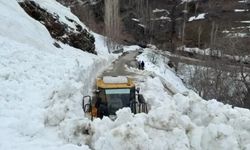 Bahçesaray’da yola çığ düştü