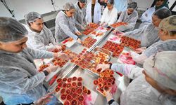 Mersin’de kan portakalı kadınların elinde değer kazanıyor