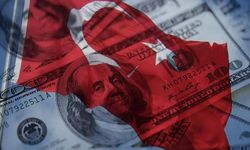 Net UYP açığı Ocak ayında 345,2 milyar dolar oldu