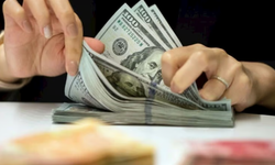 Reel Efektif Döviz Kuru Bir Yılın Zirvesinde