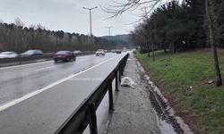 Sancaktepe’de yol kenarında ölü bebek bulundu