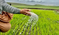 Tarım-GFE yıllık yüzde 30,59 arttı