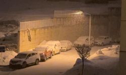 Yüksekova’da kar yağışı etkili oldu