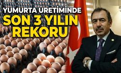 YUMURTA ÜRETİMİNDE SON 3 YILIN REKORU
