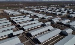 Ağrı’da 307 ahırlık hayvancılık üssü hayata geçiyor