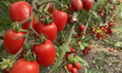 ATB mart ayı hal endeksini açıkladı