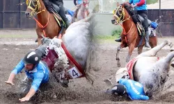 Cirit müsabakasında feci kaza: 1 sporcu ağır yaralı, at telef oldu