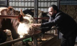 Kurbanlık alışverişinde erken alım hareketliliği