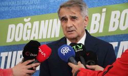 Şenol Güneş: "Milli takımın çeyrek finale kadar rahat gelebilecek bir görüntüsü var"