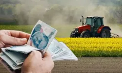 Tarım-GFE yıllık yüzde 31,55 arttı