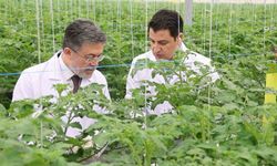 Tarım ve Orman Bakanı İbrahim Yumaklı Aksaray’da