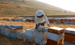 Türk Balını Uluslararası Pazarlara Ulaştıran Balparmak, İhracat Birinciliğini Perçinledi
