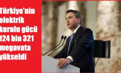 Türkiye’nin elektrik kurulu gücü 124 bin 321 megavata yükseldi