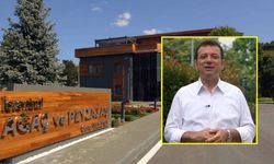 İBB Ağaç ve Peyzaj A.Ş., operasyonunda 12 kişi tutuklandı