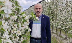 Karaman’da 16 milyon elma ağacı çiçek açarak gelinliğini giydi