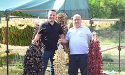Nazilli’de kurutmalık sebze oymacılığı "bacasız fabrikaya" dönüştü