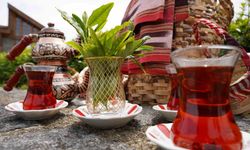 Rize’de Dünya Çay Günü etkinliği
