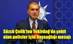 Sözcü Çelik’ten Tekirdağ’da şehit olan polisler için başsağlığı mesajı