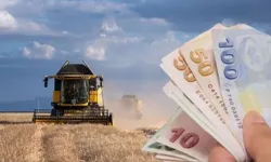 Tarım-ÜFE yıllık yüzde 42,53 arttı