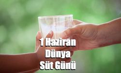 Türkiye süt üretiminde güçlü, ama tüketimde bilinç şart