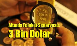 Altında Felaket Senaryosu: 3 Bin Dolar