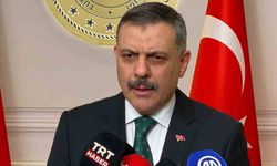 Bakan Çiftçi: "Yıl başına kadar sokak köpeklerinin hepsini barınaklara toplatacağım"