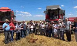 Edirne’de buğday hasadı dualarla başladı