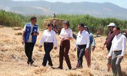 Ekinanbarı’nda üreticinin yükünü hafifleten destek