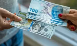 Reel efektif döviz kuru endeksi Mayıs ayında azaldı