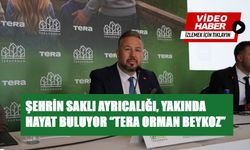 ŞEHRİN SAKLI AYRICALIĞI, YAKINDA HAYAT BULUYOR “TERA ORMAN BEYKOZ”