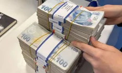 Haziran ayından en yüksek reel getiri DİBS’te oldu