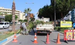 Alanya'da park ve yeşil alanlarda bakım çalışmaları sürüyor