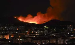 Ankara'da ağaçlık alanda yangın çıktı