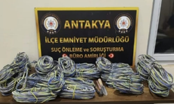 Antakya'da yaklaşık 500 bin TL'lik bakır kablo hırsızlığı: 8 şüpheli tutuklandı