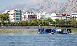 Antalya'da Boğaçayı'nda sucul bitki temizliği sürüyor