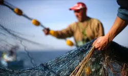 Balıkçılıkta yeni av sezonu başladı