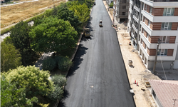 Birlik Caddesi'nde asfalt mesaisi tamamlandı