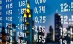 Borsa İstanbul'dan EDIP ve HOROZ paylarında yatırımcı bazlı tedbir