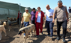 Bucak, Doğal Yaşam Alanı'nda incelemelerde bulundu