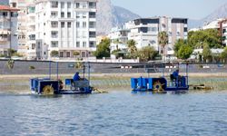'Caretta' ve 'Mavi Yengeç' Boğaçayı'nda görevde