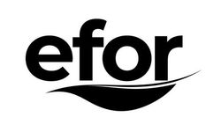 Efor Holding, yabancı yatırımcıdan EFOR payını satın alacak