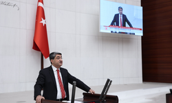 Ekmen: Mersin sahillerindeki mikroplastik kirliliği için önlem alınmalı