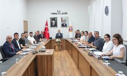 Fatsa'da 'Vira Bismillah Fatsa Balıkçılık Festivali' düzenlenecek