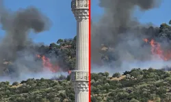 Gebze'de orman yangını