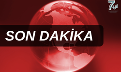 Gebze'de orman yangını
