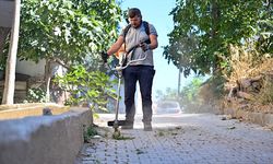 Gölyazı'da bakım, temizlik ve çevre düzenleme çalışması başlatıldı