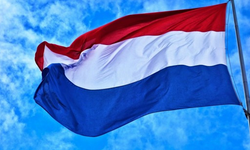 Hollanda'da hükümet ve çiftçiler arasında azot paketi görüşmesi