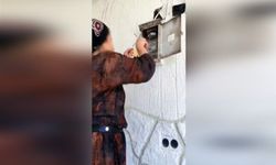 Kaçak elektrik tespitinde Şanlıurfa'da bir evde dikkat çeken detay